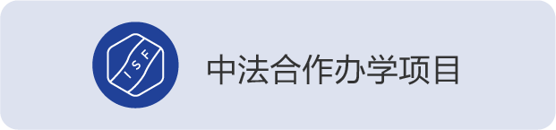 王福会教授团队徐大可教授课题组在纳米
